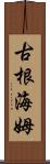 古根海姆 Scroll