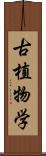 古植物学 Scroll