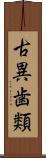 古異歯類 Scroll