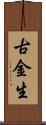 古金生 Scroll