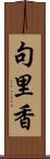 句里香 Scroll