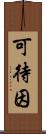 可待因 Scroll