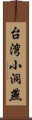 台湾小洞燕 Scroll