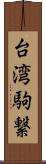 台湾駒繋 Scroll