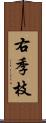 右季枝 Scroll