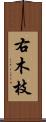 右木枝 Scroll