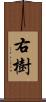 右樹 Scroll