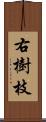 右樹枝 Scroll