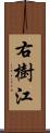 右樹江 Scroll