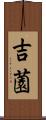 吉薗 Scroll