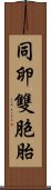 同卵雙胞胎 Scroll