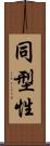 同型性 Scroll