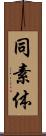 同素体 Scroll