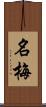 名梅 Scroll