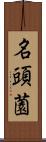 名頭薗 Scroll