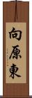 向原東 Scroll