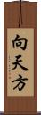 向天方 Scroll