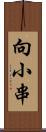 向小串 Scroll