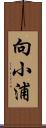 向小浦 Scroll