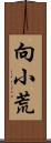 向小荒 Scroll