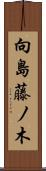 向島藤ノ木 Scroll