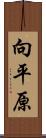 向平原 Scroll