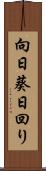 向日葵 Scroll