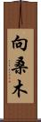 向桑木 Scroll