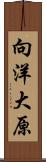 向洋大原 Scroll