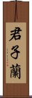 君子蘭 Scroll