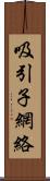 吸引子網絡 Scroll