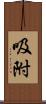 吸附 Scroll