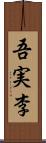 吾実李 Scroll
