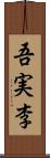 吾実李 Scroll