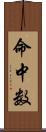 命中数 Scroll