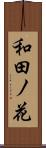 和田ノ花 Scroll