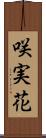 咲実花 Scroll