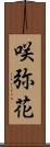 咲弥花 Scroll