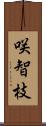 咲智枝 Scroll