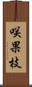 咲果枝 Scroll