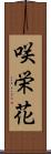 咲栄花 Scroll