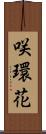 咲環花 Scroll