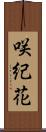 咲紀花 Scroll