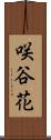 咲谷花 Scroll