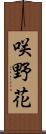 咲野花 Scroll