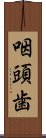 咽頭歯 Scroll