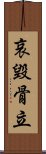 哀毀骨立 Scroll