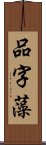 品字藻 Scroll