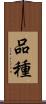 品種 Scroll