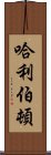 哈利伯頓 Scroll